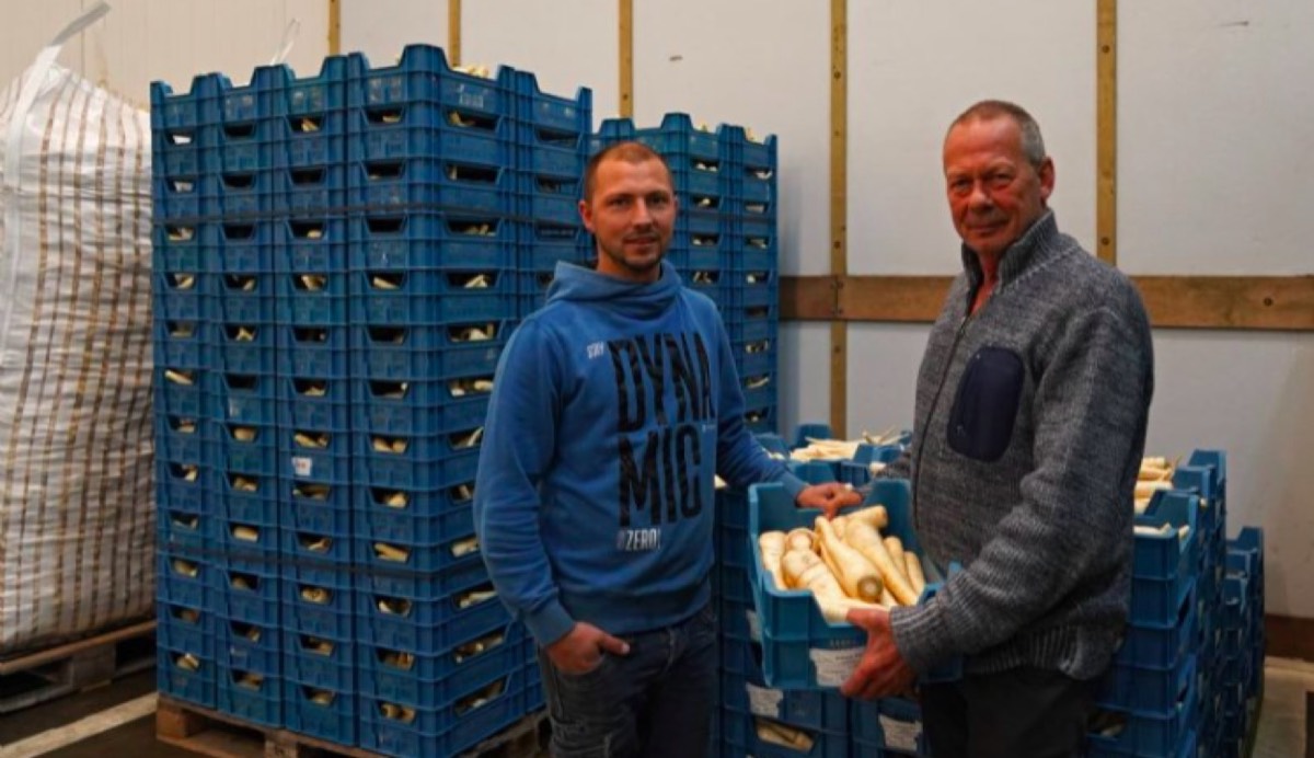Beeld van Arenosa