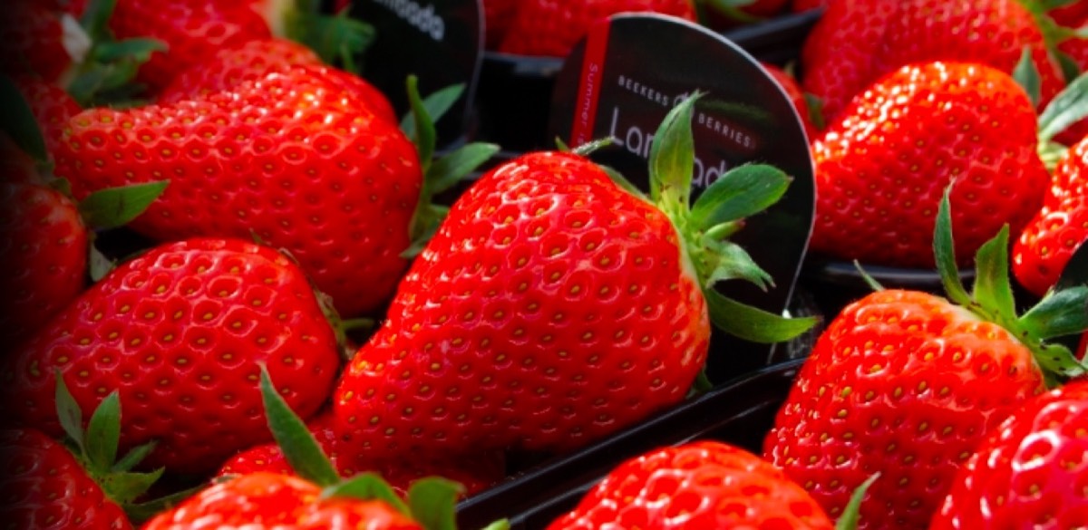 Beeld van Beekers Berries