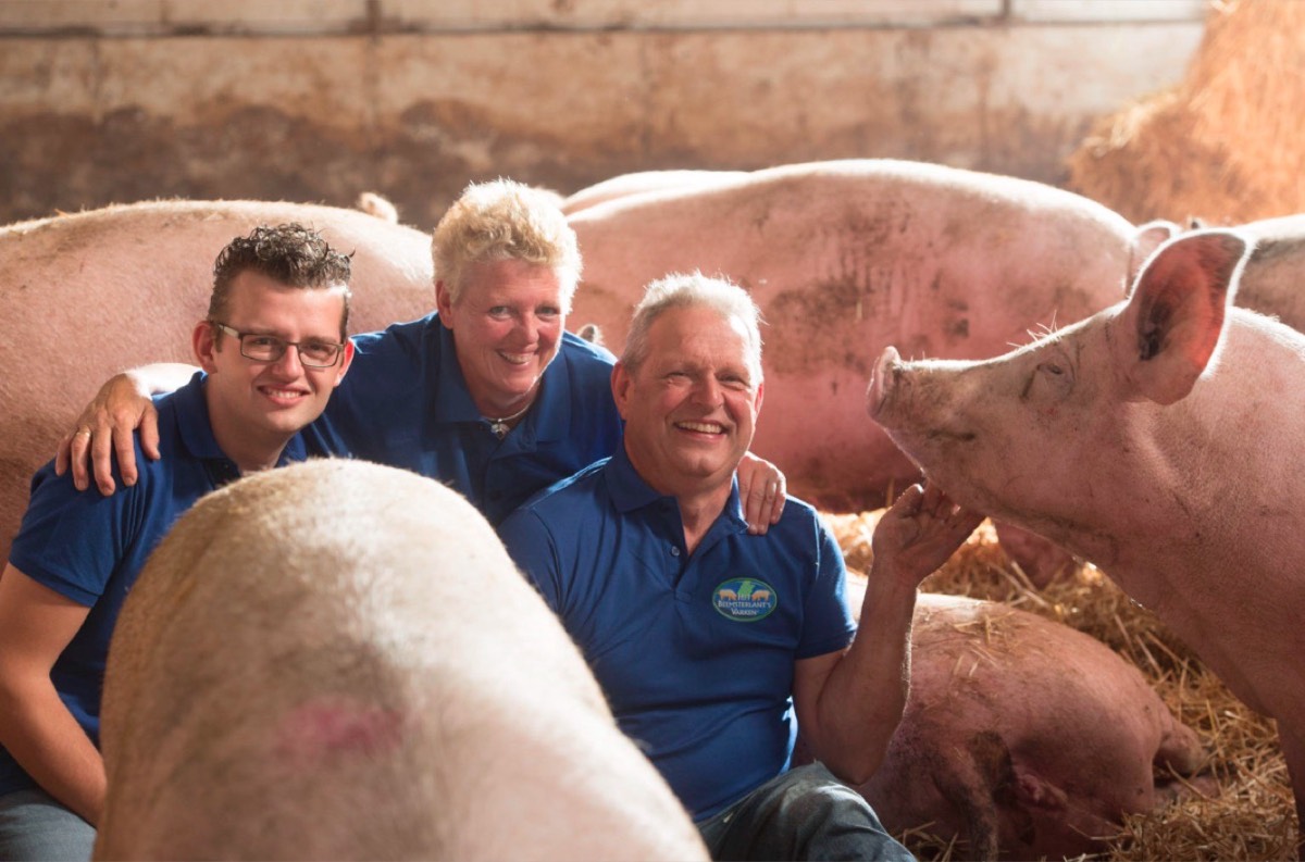 Beeld van Beemsterlant's Varken