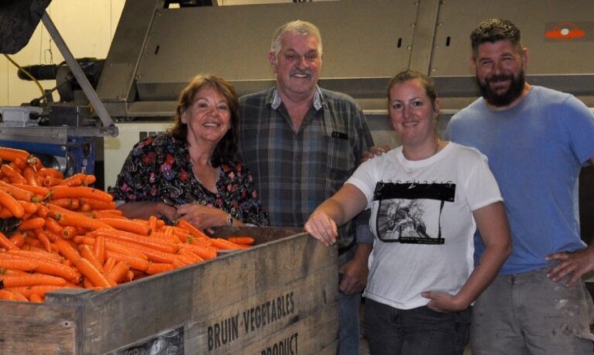 Beeld van Bruin polderpeen met smaak uit Dirkshoorn