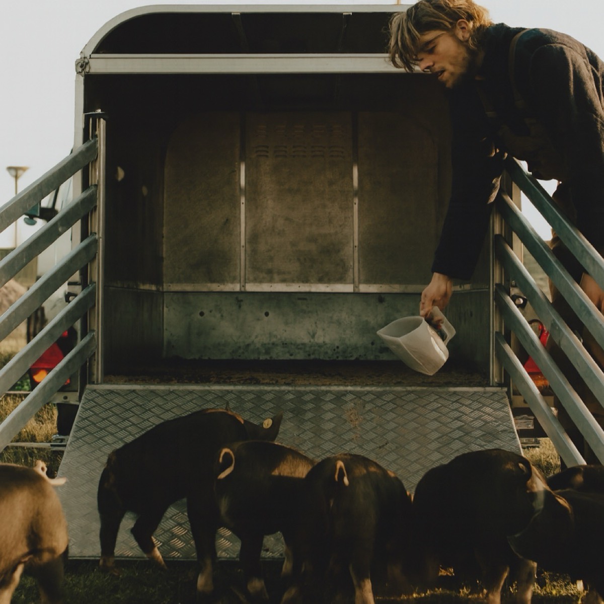 Beeld van Buitengewone Varkens