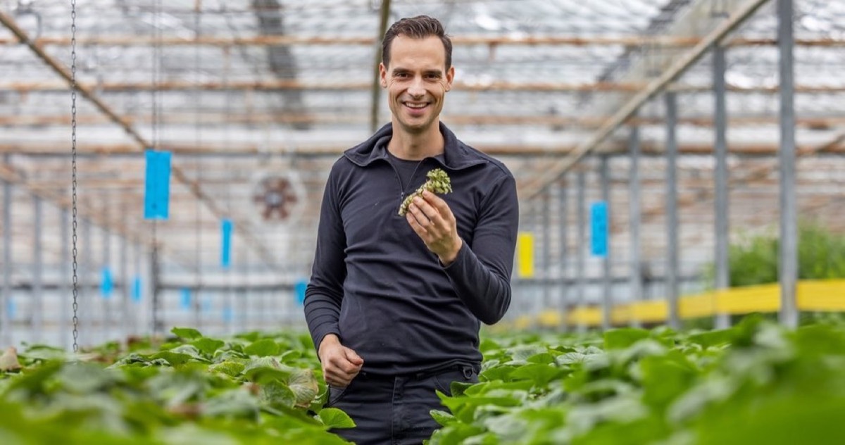 Beeld van Dutch Wasabi