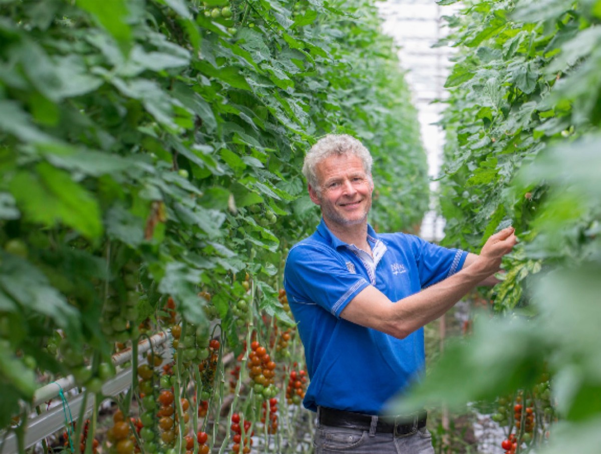 Beeld van Frank de Koning