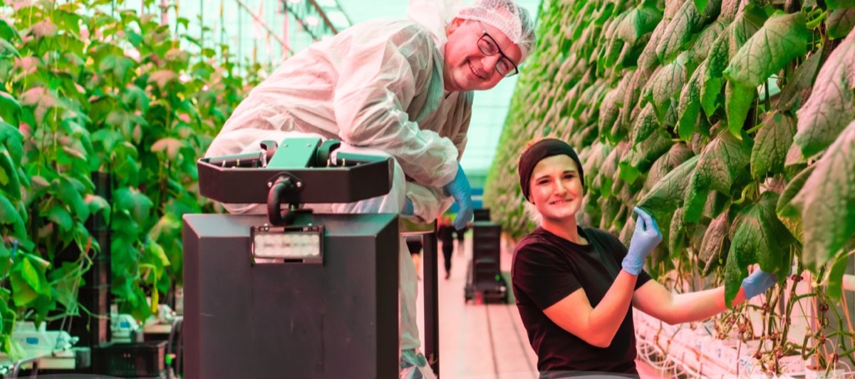 Beeld van Fresh Valley