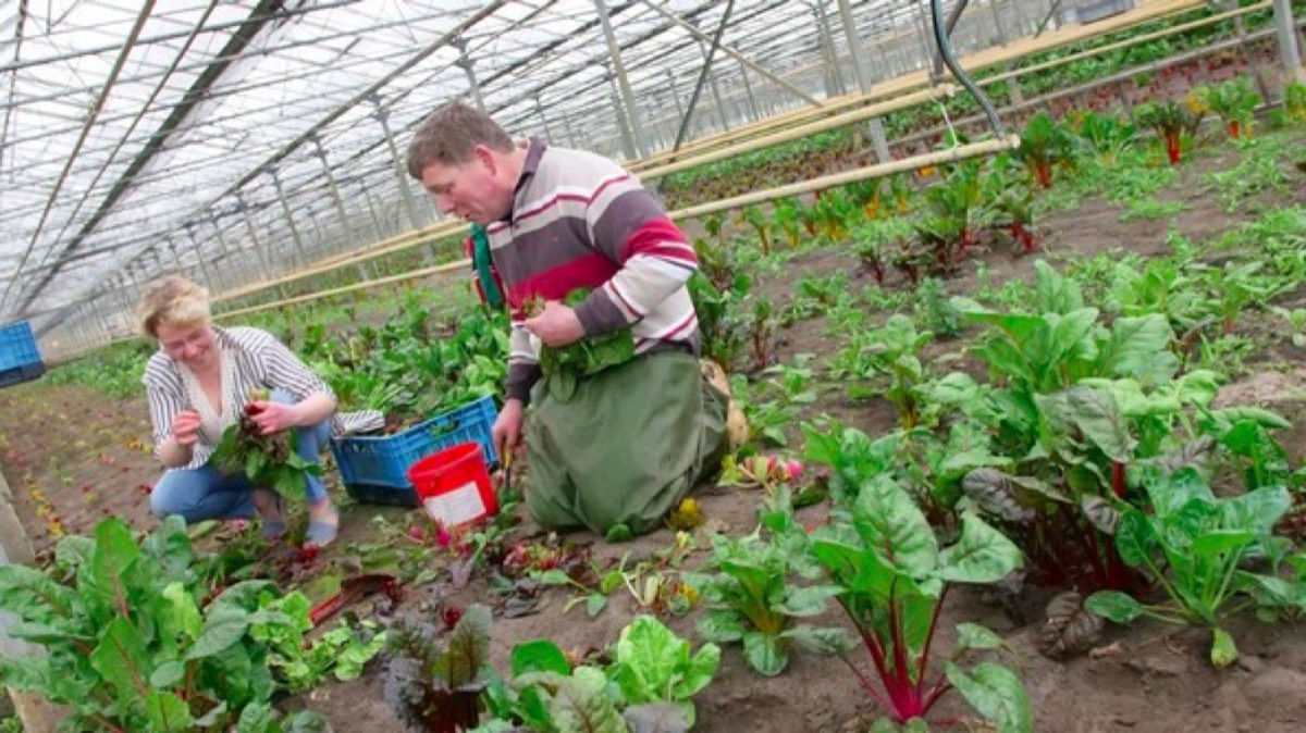 Beeld van Klootwijk