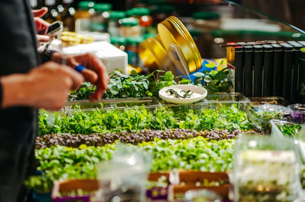 Beeld van Koppert Cress