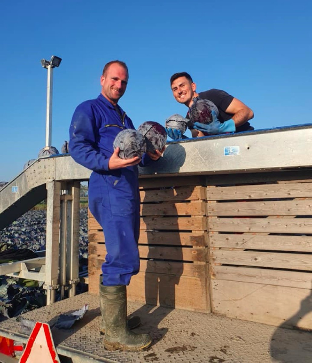 Beeld van Muileboom