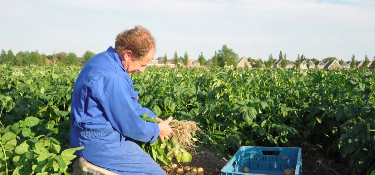 Beeld van Opperdoezer Ronde van Cees