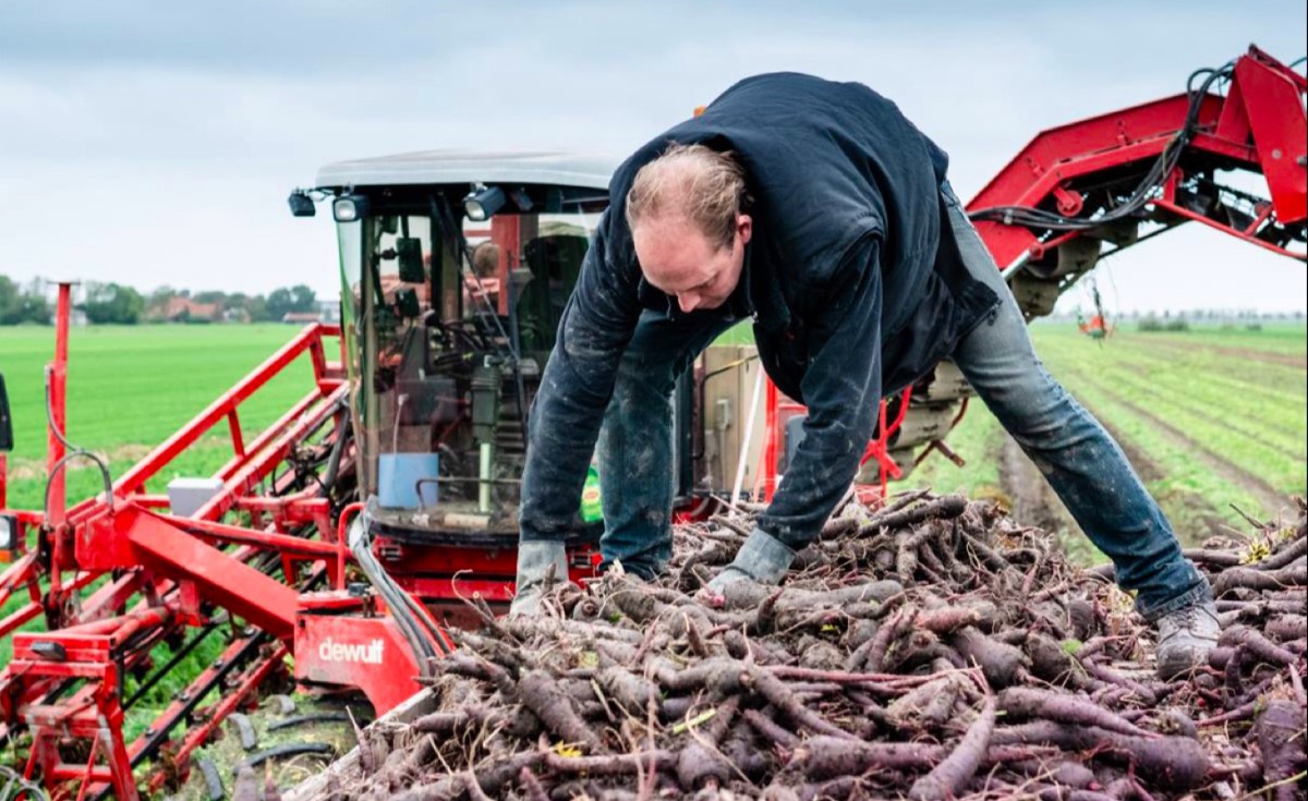 Beeld van Paul Pronk