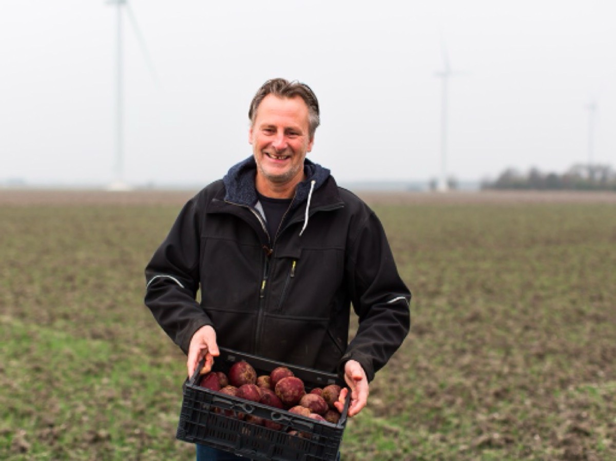 Beeld van Biologische uien van Piet van Andel