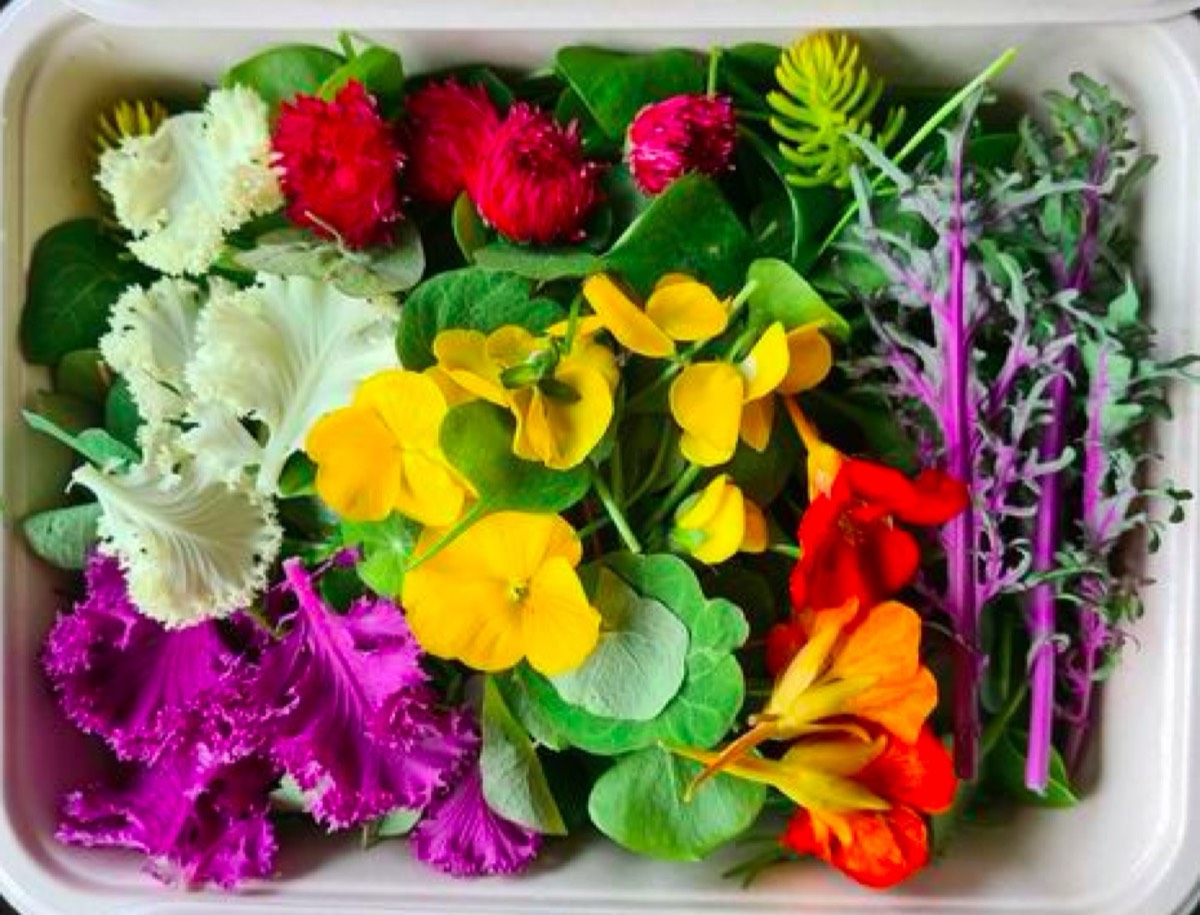 Beeld van Puur Aroma
