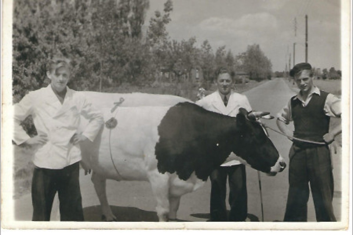 Beeld van Slagerij Spijkerman