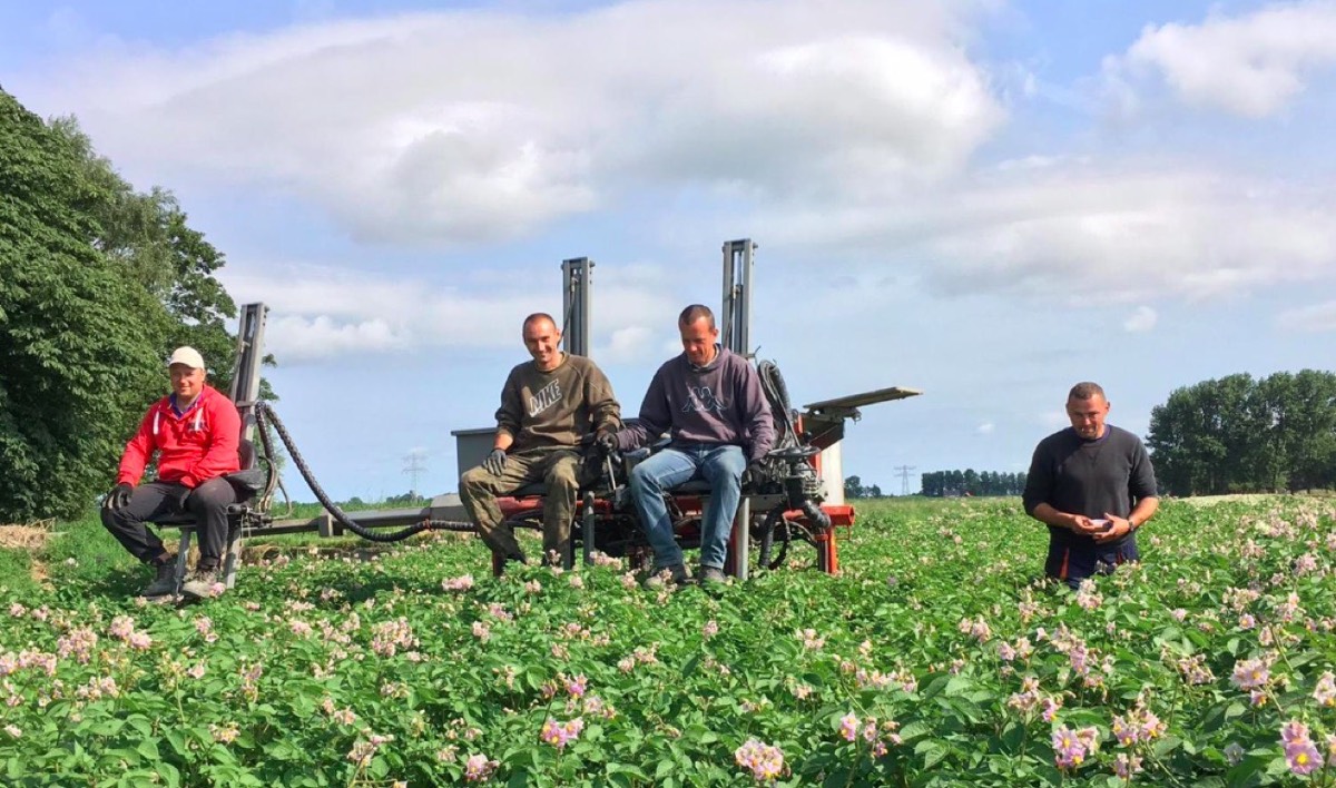 Beeld van Ted Vaalburg