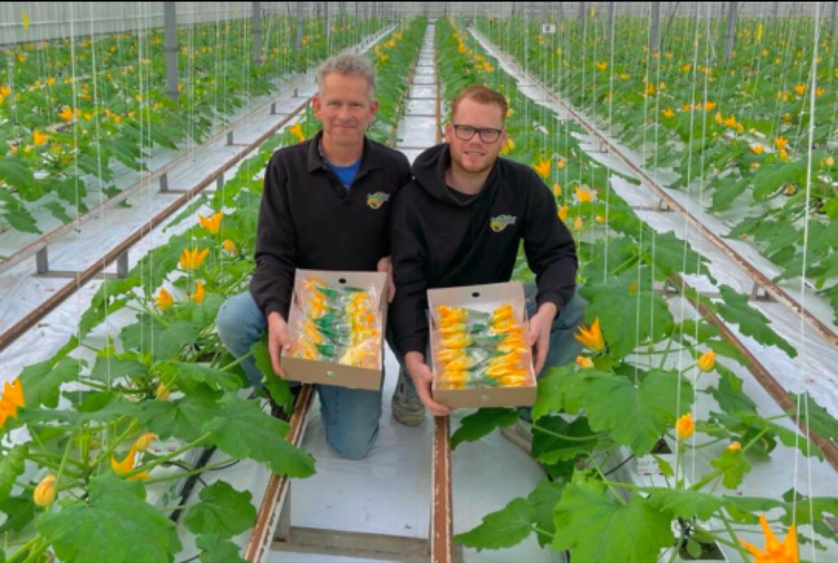 Beeld van Zwinkels